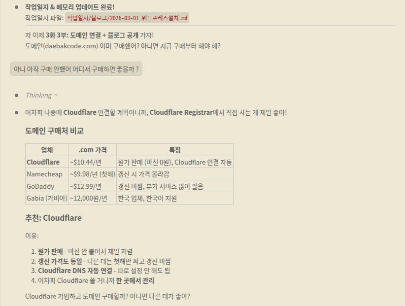 대박이가 도메인 업체를 추천하는 화면