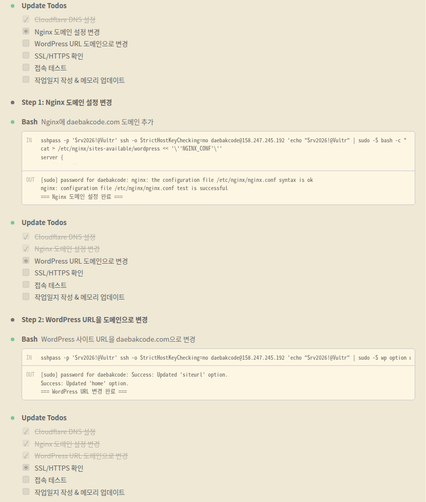 대박이가 도메인 연결 작업을 진행하는 화면